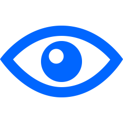 vision